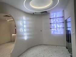 Cuppage Plaza (D9), Shop House #637675071